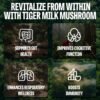 Are FeelFungie Tigers Milk Mushroom Supplements the Best Herbal Review for Brain and Immune Health Are FeelFungie Tigers Milk Mushroom Supplements the Best Herbal Review for Brain and Immune Health