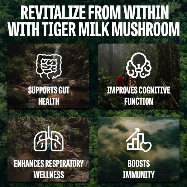 Are FeelFungie Tigers Milk Mushroom Supplements the Best Herbal Review for Brain and Immune Health Are FeelFungie Tigers Milk Mushroom Supplements the Best Herbal Review for Brain and Immune Health