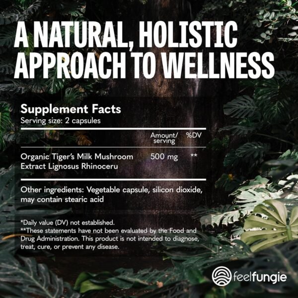 Are FeelFungie Tigers Milk Mushroom Supplements the Best Herbal Review for Brain and Immune Health Are FeelFungie Tigers Milk Mushroom Supplements the Best Herbal Review for Brain and Immune Health