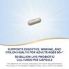 Are Nature's Way Probiotics the Best Digestive Supplement Review You Need Today Are Nature's Way Probiotics the Best Digestive Supplement Review You Need Today