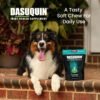 Are Nutramax Dasuquin Large Dog Joint Supplements Worth It Review Reveals Surprising Results Are Nutramax Dasuquin Large Dog Joint Supplements Worth It Review Reveals Surprising Results