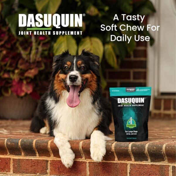 Are Nutramax Dasuquin Large Dog Joint Supplements Worth It Review Reveals Surprising Results Are Nutramax Dasuquin Large Dog Joint Supplements Worth It Review Reveals Surprising Results