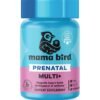 Best Nest Wellness Mama Bird Prenatal Multi Plus - Prenatal Care Supplement Supports Brain & Digestive Health - Vegan Multivitamin with L-Methylfolate, Probiotics & More - 30... Best Nest Wellness Mama Bird Prenatal Multi Plus - Prenatal Care Supplement Supports Brain & Digestive Health - Vegan Multivitamin with L-Methylfolate, Probiotics & More - 30...
