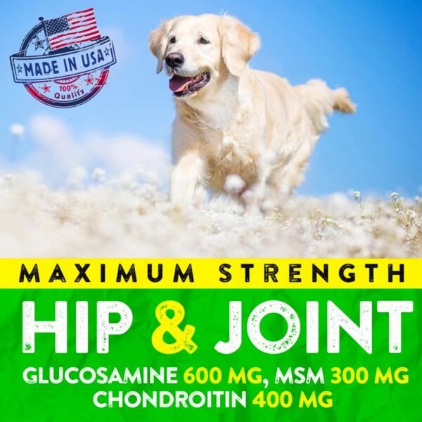Can FURALAND Hip and Joint Supplement for Dogs Really Improve Mobility Review Can FURALAND Hip and Joint Supplement for Dogs Really Improve Mobility Review