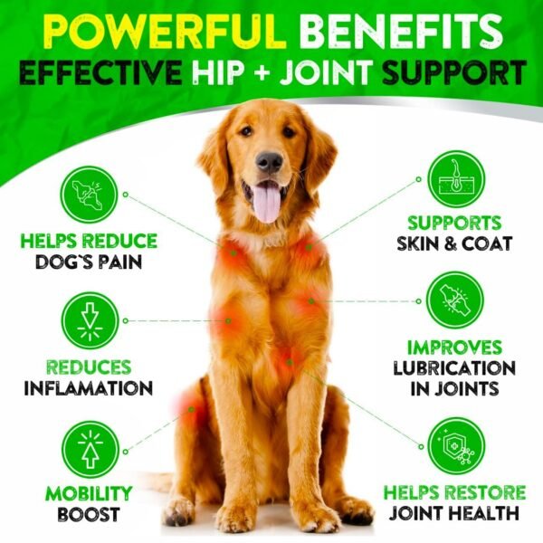 Can FURALAND Hip and Joint Supplement for Dogs Really Improve Mobility Review Can FURALAND Hip and Joint Supplement for Dogs Really Improve Mobility Review