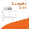 Can NOW Foods Psyllium Husk Capsules Improve Digestive Health Review Worth Your Time Can NOW Foods Psyllium Husk Capsules Improve Digestive Health Review Worth Your Time