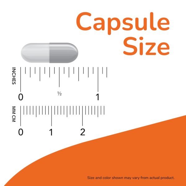 Can NOW Foods Psyllium Husk Capsules Improve Digestive Health Review Worth Your Time Can NOW Foods Psyllium Husk Capsules Improve Digestive Health Review Worth Your Time