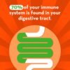 Could Align Probiotic Gut Health Review Reveal the Best Immune Support Supplement for You Could Align Probiotic Gut Health Review Reveal the Best Immune Support Supplement for You