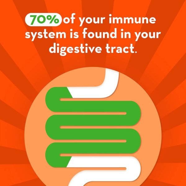 Could Align Probiotic Gut Health Review Reveal the Best Immune Support Supplement for You Could Align Probiotic Gut Health Review Reveal the Best Immune Support Supplement for You