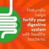 Could Align Probiotic Gut Health Review Reveal the Best Immune Support Supplement for You Could Align Probiotic Gut Health Review Reveal the Best Immune Support Supplement for You