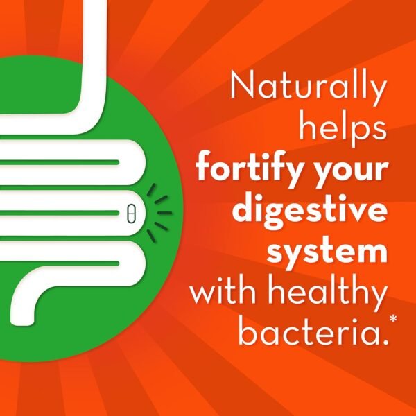 Could Align Probiotic Gut Health Review Reveal the Best Immune Support Supplement for You Could Align Probiotic Gut Health Review Reveal the Best Immune Support Supplement for You