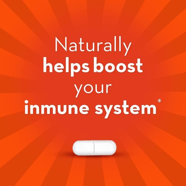 Could Align Probiotic Gut Health Review Reveal the Best Immune Support Supplement for You Could Align Probiotic Gut Health Review Reveal the Best Immune Support Supplement for You
