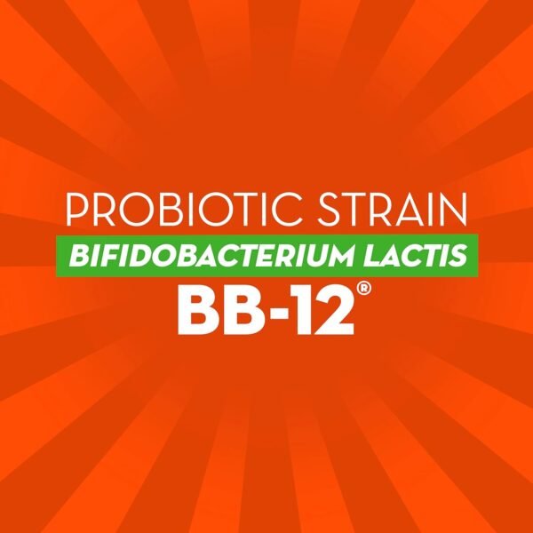 Could Align Probiotic Gut Health Review Reveal the Best Immune Support Supplement for You Could Align Probiotic Gut Health Review Reveal the Best Immune Support Supplement for You