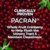 Could AZO Cranberry Softgels Be the Best Urinary Tract Supplement Review You Need Today? Could AZO Cranberry Softgels Be the Best Urinary Tract Supplement Review You Need Today?