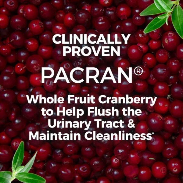 Could AZO Cranberry Softgels Be the Best Urinary Tract Supplement Review You Need Today? Could AZO Cranberry Softgels Be the Best Urinary Tract Supplement Review You Need Today?