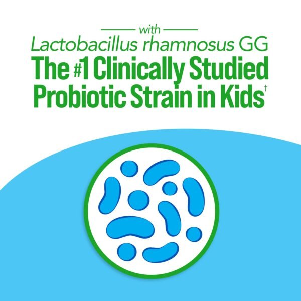 Could Culturelle Kids Complete Multivitamin Probiotic Review Reveal Benefits For Your Child’s Health? Could Culturelle Kids Complete Multivitamin Probiotic Review Reveal Benefits For Your Child’s Health?