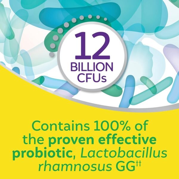 Could Culturelle Pro Strength Daily Probiotics for Digestive Health Review Reveal Real Benefits or Hype? Could Culturelle Pro Strength Daily Probiotics for Digestive Health Review Reveal Real Benefits or Hype?