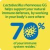 Could Culturelle Probiotics Digestive Supplement Review Reveal Immune Support Benefits Worth Trying Could Culturelle Probiotics Digestive Supplement Review Reveal Immune Support Benefits Worth Trying