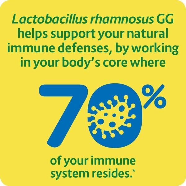 Could Culturelle Probiotics Digestive Supplement Review Reveal Immune Support Benefits Worth Trying Could Culturelle Probiotics Digestive Supplement Review Reveal Immune Support Benefits Worth Trying
