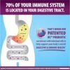 Could Digestive Advantage Probiotic Gummies Be the Best Daily Digestive Health Review You Need Could Digestive Advantage Probiotic Gummies Be the Best Daily Digestive Health Review You Need