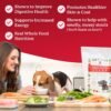 Could Dr. Harvey's Dehydrated Dog Food Review Reveal True Canine Health Benefits Could Dr. Harvey's Dehydrated Dog Food Review Reveal True Canine Health Benefits