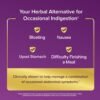 Could FDgard Gut Health Supplement Really Relieve Indigestion Discover Our In-Depth Review Could FDgard Gut Health Supplement Really Relieve Indigestion Discover Our In-Depth Review