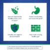 Could Florastor Advanced Gas Relief Probiotic Really Improve Digestion Review Inside Could Florastor Advanced Gas Relief Probiotic Really Improve Digestion Review Inside