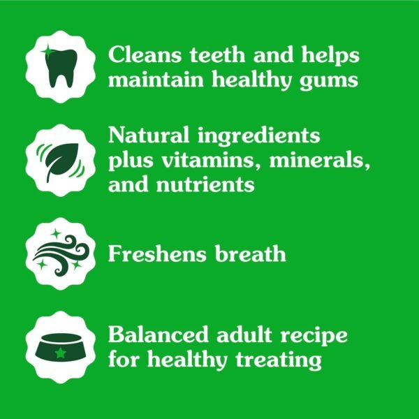 Could Greenies Original Dental Treats for Dogs Really Improve Oral Health Review Worth Reading