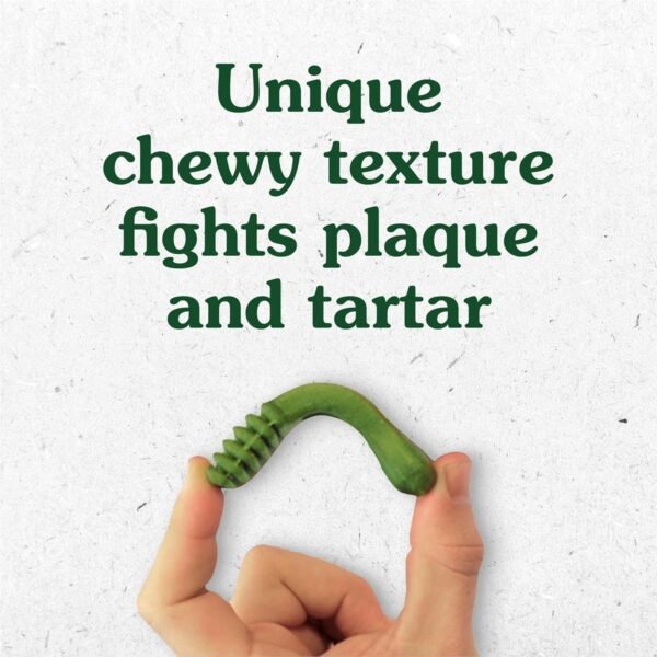 Could Greenies Original Dental Treats for Dogs Really Improve Oral Health Review Worth Reading Could Greenies Original Dental Treats for Dogs Really Improve Oral Health Review Worth Reading