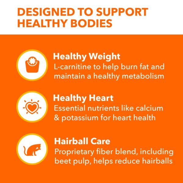 Could Iams Dry Cat Food Indoor Weight And Hairball Care Review Actually Improve Your Cat’s Health and Happiness