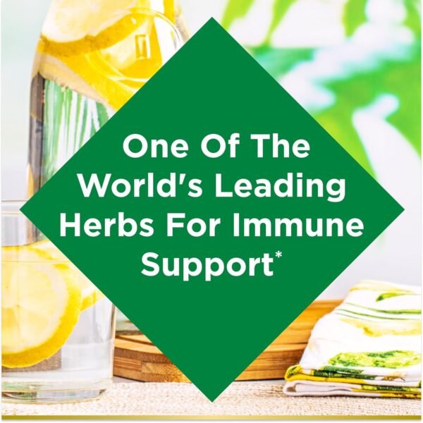 Could Nature's Bounty Echinacea Herbal Supplement Review Reveal Real Immune Support Benefits