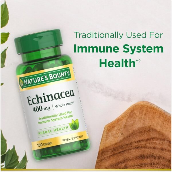 Could Nature's Bounty Echinacea Herbal Supplement Review Reveal Real Immune Support Benefits