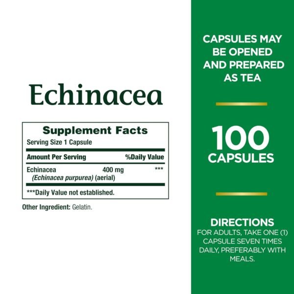 Could Nature's Bounty Echinacea Herbal Supplement Review Reveal Real Immune Support Benefits