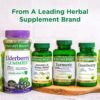 Could Nature's Bounty Milk Thistle Herbal Supplement Review Reveal Real Liver Health Benefits?