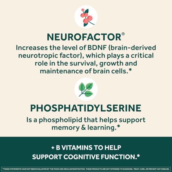 Could Neuriva Plus Brain Supplement Review Reveal Real Memory and Focus Benefits? Could Neuriva Plus Brain Supplement Review Reveal Real Memory and Focus Benefits?
