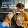 Could Nutramax Laboratories Cosequin DS Joint Health Supplement Review Help Your Dog’s Mobility? Could Nutramax Laboratories Cosequin DS Joint Health Supplement Review Help Your Dog’s Mobility?