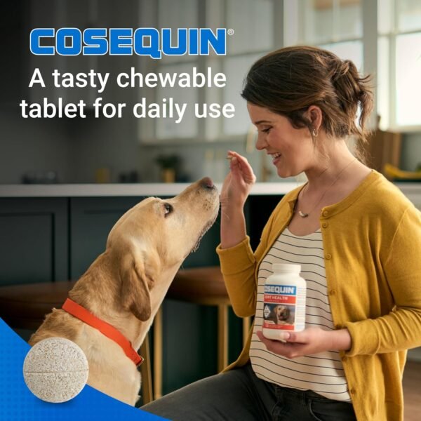 Could Nutramax Laboratories Cosequin DS Joint Health Supplement Review Help Your Dog’s Mobility? Could Nutramax Laboratories Cosequin DS Joint Health Supplement Review Help Your Dog’s Mobility?