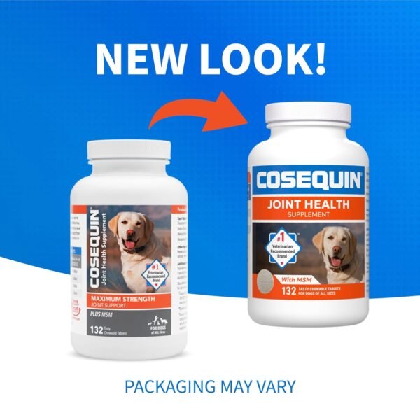 Could Nutramax Laboratories Cosequin DS Joint Health Supplement Review Help Your Dog’s Mobility? Could Nutramax Laboratories Cosequin DS Joint Health Supplement Review Help Your Dog’s Mobility?