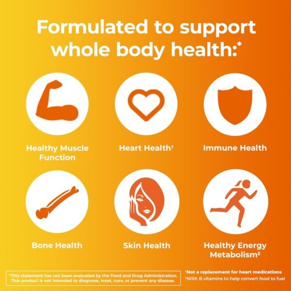 Could One A Day Women’s Multivitamin Review Reveal the Best Supplements for Bone Health Could One A Day Women’s Multivitamin Review Reveal the Best Supplements for Bone Health