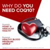 Could Qunol CoQ10 Softgels Be the Best Ultra Absorption Supplement Review for Heart Health Enthusiasts Could Qunol CoQ10 Softgels Be the Best Ultra Absorption Supplement Review for Heart Health Enthusiasts