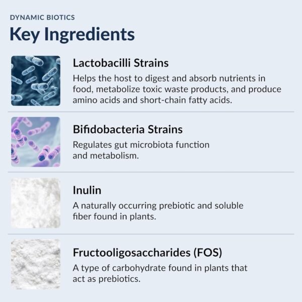Could Stonehenge Health Probiotics 55 Billion CFU review reveal real digestive benefits? Could Stonehenge Health Probiotics 55 Billion CFU review reveal real digestive benefits?