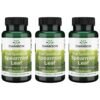 Could Swanson Spearmint Leaf Herbal Supplement Review Reveal Real Digestive Health Benefits? Could Swanson Spearmint Leaf Herbal Supplement Review Reveal Real Digestive Health Benefits?