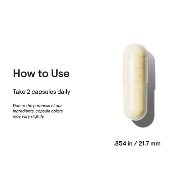 Could THORNE Basic Nutrients 2Day Multivitamin Be Your Ultimate Health Boost Review Could THORNE Basic Nutrients 2Day Multivitamin Be Your Ultimate Health Boost Review