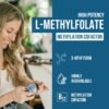 Could Triquetra Health L Methyl Folate Supplement Review Reveal Real Brain Health Benefits?