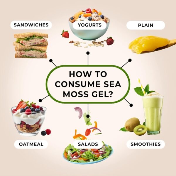 Could TrueSeaMoss Wildcrafted Sea Moss Gel Be the Best Supplement Review for Gut Health Enthusiasts Could TrueSeaMoss Wildcrafted Sea Moss Gel Be the Best Supplement Review for Gut Health Enthusiasts