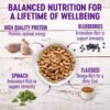 Could Wellness Complete Health Dry Dog Food Review Reveal Why It’s Best for Your Dog’s Nutrition? Could Wellness Complete Health Dry Dog Food Review Reveal Why It’s Best for Your Dog’s Nutrition?