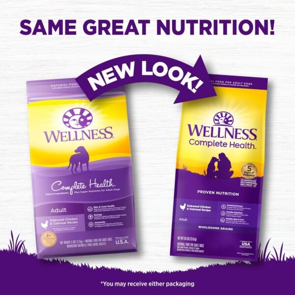Could Wellness Complete Health Dry Dog Food Review Reveal Why It’s Best for Your Dog’s Nutrition? Could Wellness Complete Health Dry Dog Food Review Reveal Why It’s Best for Your Dog’s Nutrition?