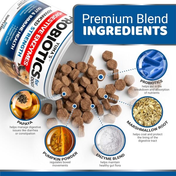 Could YUMA'S Probiotics for Dogs PRV-2 Really Improve Gut Health Review Reveal? Could YUMA'S Probiotics for Dogs PRV-2 Really Improve Gut Health Review Reveal?