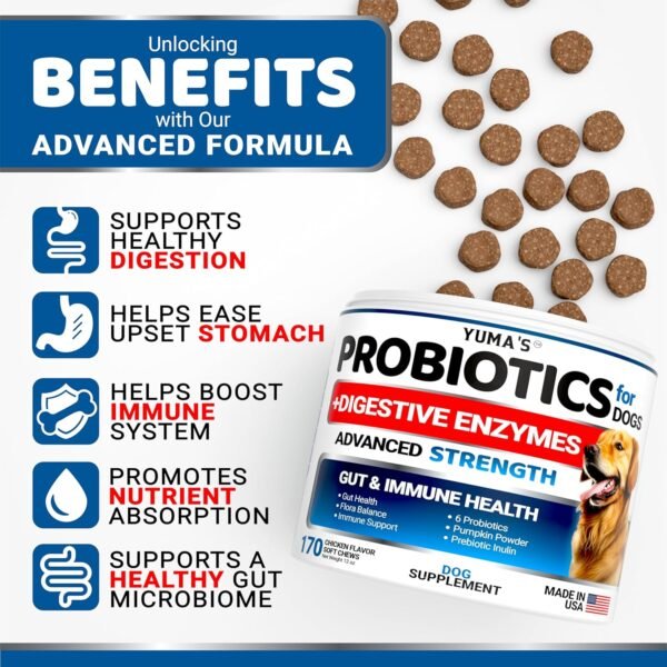 Could YUMA'S Probiotics for Dogs PRV-2 Really Improve Gut Health Review Reveal? Could YUMA'S Probiotics for Dogs PRV-2 Really Improve Gut Health Review Reveal?