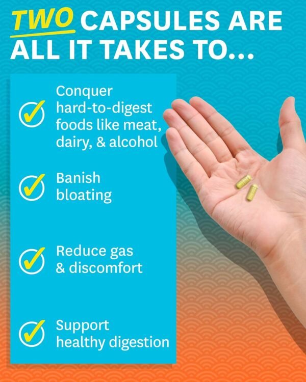 Could Zenwise Health Digestive Enzymes Review Reveal True Relief from Bloating and Gas? Could Zenwise Health Digestive Enzymes Review Reveal True Relief from Bloating and Gas?